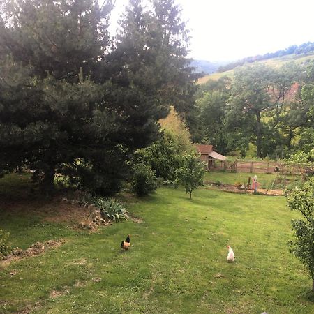 Gites De Gobertier Saint-Alban-d'Ay 외부 사진