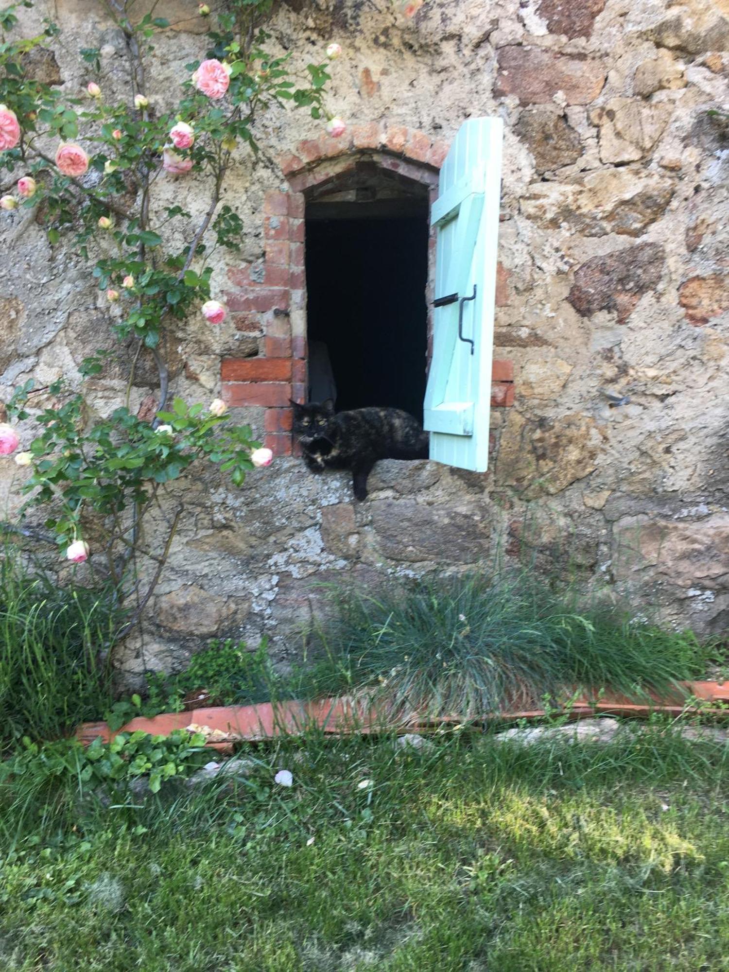 Gites De Gobertier Saint-Alban-d'Ay 외부 사진